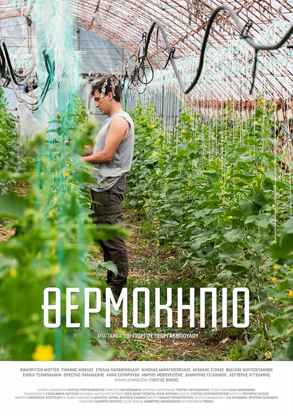 Αφίσα: Greenhouse / Θερμοκήπιο